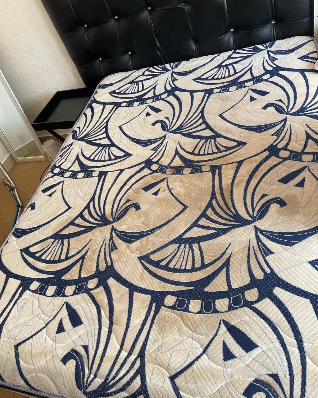 Before - Professional mattress cleaning and sanitization